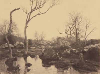 Kaunis risti, n. 1858. tekijältä Eugène Cuvelier