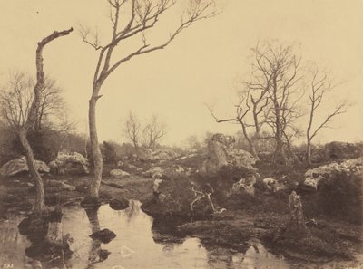 Belle Croix, n. 1858 (kuva). tekijältä Eugène Cuvelier