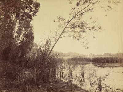 Marais de Fampoux,1860-luvun alussa (kuva) tekijältä Eugène Cuvelier