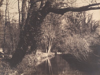 Courances Park, 1860-70. tekijältä Eugène Cuvelier