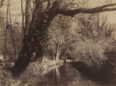Parc de Courances, 1850-luvun loppupuoli (kuva). tekijältä Eugène Cuvelier