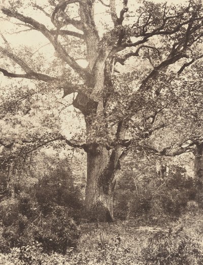 Lähellä Bodmeria, 1860-luku. tekijältä Eugène Cuvelier