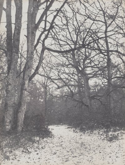 Tie metsässä, 1860-1863. tekijältä Eugène Cuvelier
