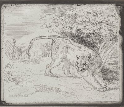 Loukkuun jäänyt tiikeri tekijältä Eugène Delacroix