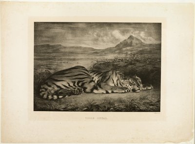 Bengalin tiikeri tekijältä Eugène Delacroix