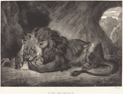 Atlasvuorten leijona Lion de l