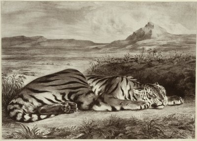 Kuninkaallinen tiikeri tekijältä Eugène Delacroix