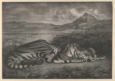 Kuninkaallinen tiikeri, 1829, 1829. tekijältä Eugène Delacroix