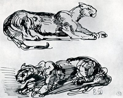 Studies of Panthers, 1913 tekijältä Ferdinand Victor Eugene Delacroix