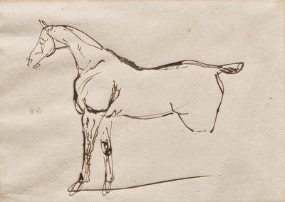 Hevosen tutkimus tekijältä Eugène Delacroix