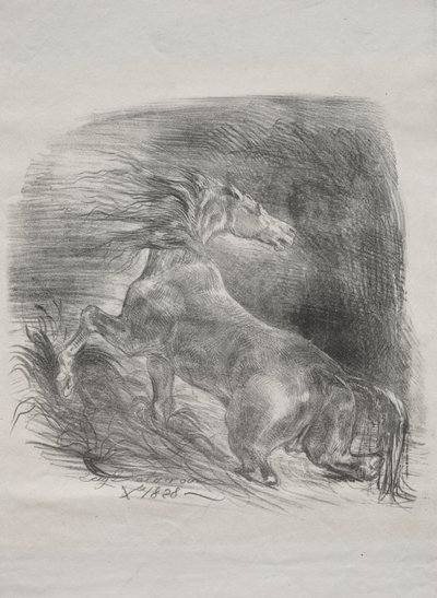 Villihevonen tai pelästynyt hevonen, joka lähtee vedestä tekijältä Eugène Delacroix