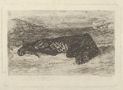 Tiikeri makaa autiomaassa, 1846, 1846. tekijältä Eugène Delacroix