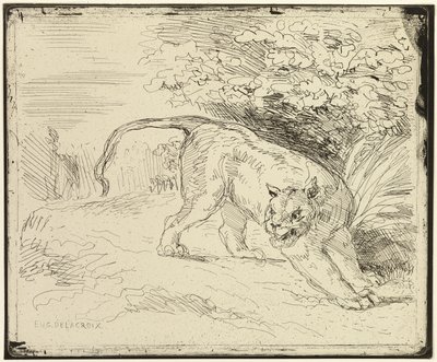 Tiikeri valmis kevääseen tekijältä Eugène Delacroix