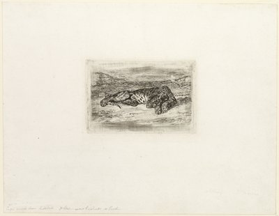 Tiikeri lepää autiomaassa tekijältä Eugène Delacroix
