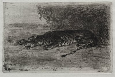 Tiikeri nukkuu pesänsä sisäänkäynnissä tekijältä Eugène Delacroix