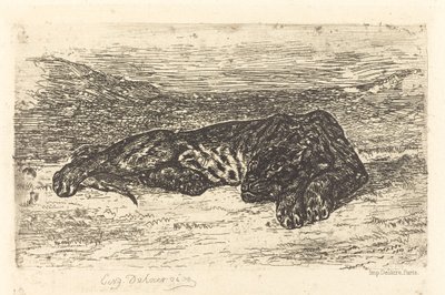 Tiger Sleeping in the Desert tekijältä Eugène Delacroix