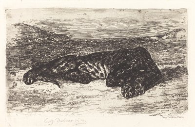 Tiger Sleeping in the Desert tekijältä Eugène Delacroix