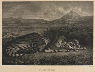 kuninkaallinen tiikeri tekijältä Eugène Delacroix