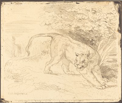Tiikeri pysäkillä tekijältä Eugène Delacroix