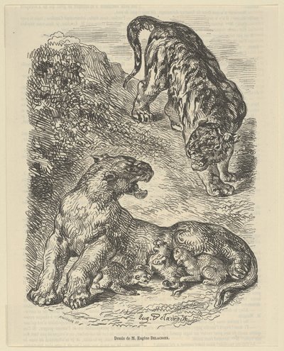 Tiikeri hyökkäsi tiikeriin imettäessään poikaansa, 1853, 1853. tekijältä Eugène Delacroix