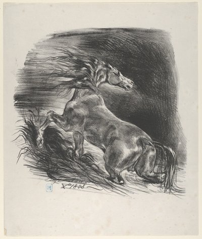 Villihevonen, 1828, 1828. tekijältä Eugène Delacroix
