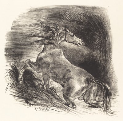 Wild Horse Coming out of the Water Cheval sauvage, 1828. tekijältä Eugène Delacroix