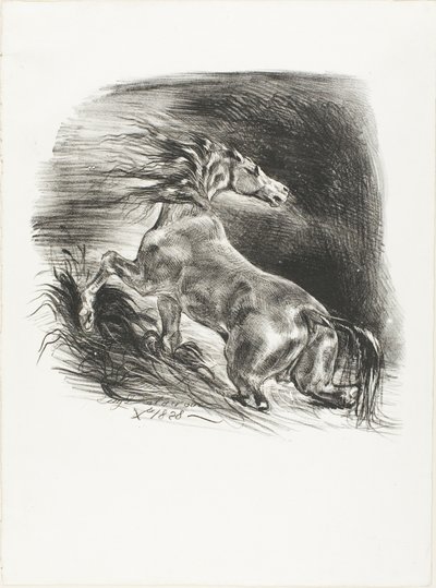 Villihevonen tai pelästynyt hevonen, joka lähtee vedestä tekijältä Eugène Delacroix