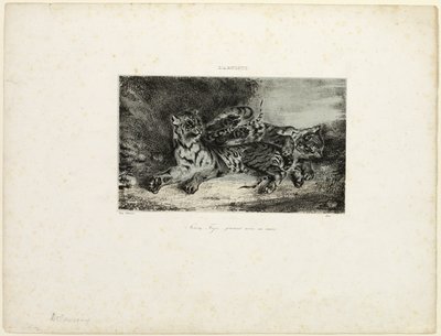 Nuori tiikeri leikkii äitinsä kanssa tekijältä Eugène Delacroix