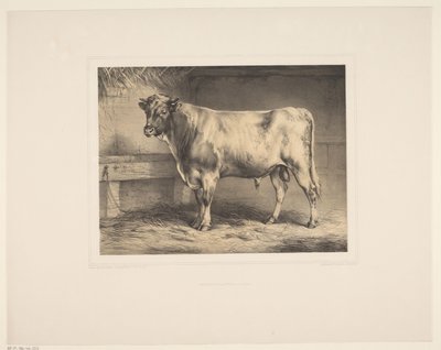 Stier Monipuolinen päivä (sarjan nimi) Eläintutkimukset (sarjan nimi) tekijältä Eugène Verboeckhoven
