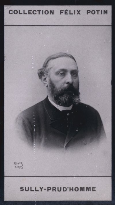 Armand Sully Prudhomme (1839) (m/w kuva) tekijältä European Photographer