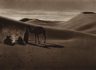 Ilta aavikolla (s/w-kuva) tekijältä European Photographer