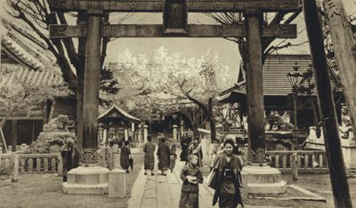 Japani, Tokion katu, kirsikankukinnan aika (m/w kuva) tekijältä European Photographer