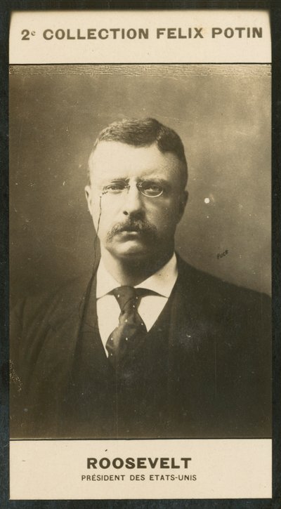 Theodore Roosevelt, Yhdysvaltain presidentti tekijältä European Photographer