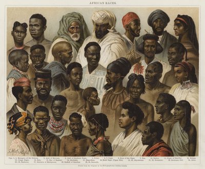 Afrikan rodut tekijältä European School