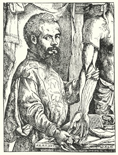 Andreas Vesalius (kaiverrus) tekijältä European School