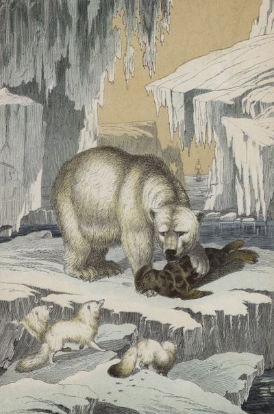 Pohjoisnavan alueen eläimet (väri litho) tekijältä European School