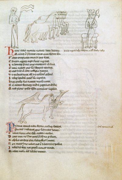 Bestiary: hevonen (muste perunapaperilla) tekijältä European School