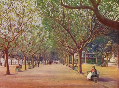 Cannes, Les Allees (värilitro) tekijältä European School