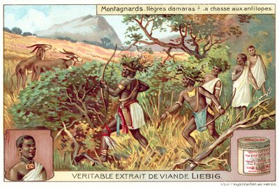 Damaras metsästää antilooppeja (chromolitho) tekijältä European School