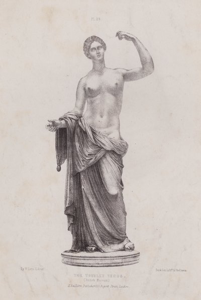 Illustration for Ihmisen ulkoisten muotojen anatomia: Townleyn Venus, British Museum (litografia). tekijältä European School
