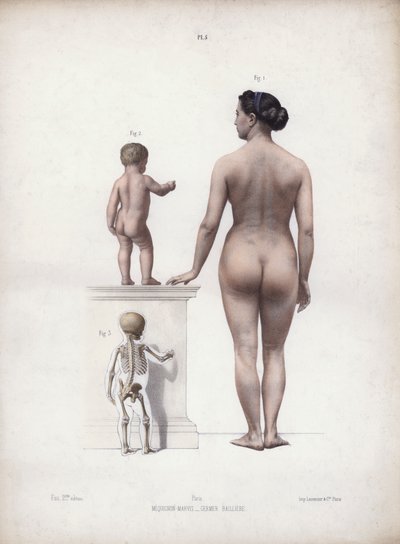 Illustration for Ihmisen ulkoisten muotojen anatomia: Nainen ja lapsi seisovat, selkänäkymä (värilitro). tekijältä European School