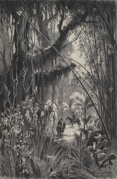 Viidakko Saltan Cordillerassa, Luoteis-Argentiina (litho) tekijältä European School