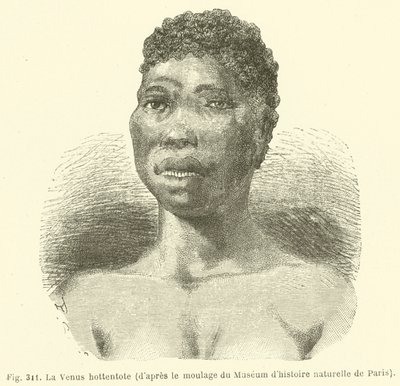The Hottentot Venus, Pariisin luonnonhistoriallisen museon näyttelijöistä (kaiverrus) tekijältä European School