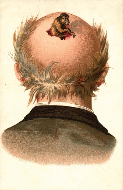 Miehen pää - apina kiipeää ulos (chromolitho). tekijältä European School