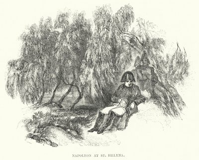 Napoleon at St Helena (kaiverrus) tekijältä European School