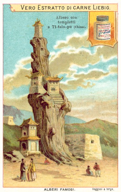 Vanha puu temppeleillä Kiinassa (chromolitho) tekijältä European School