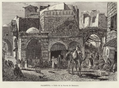 Palestiina, Damascus Gate Street tekijältä European School