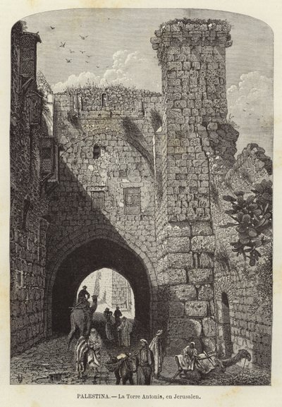 Palestiina, Antonia Tower, Jerusalemissa tekijältä European School