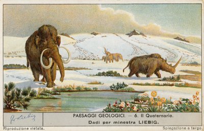 Esihistoriallinen maailma, Liebig-kortti, 1900-luvun alku (kromo) tekijältä European School