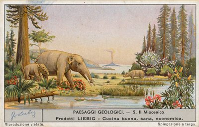 Esihistoriallinen maailma, Liebig-kortti, 1900-luvun alku (kromo) tekijältä European School